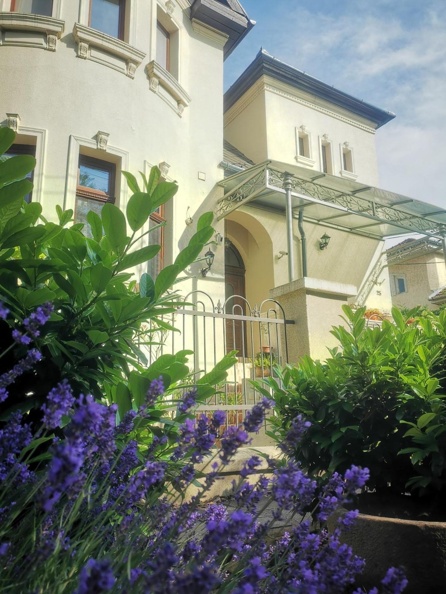 Kuria Apartman With Private Jacuzzi And Pool Budapesta Exterior foto