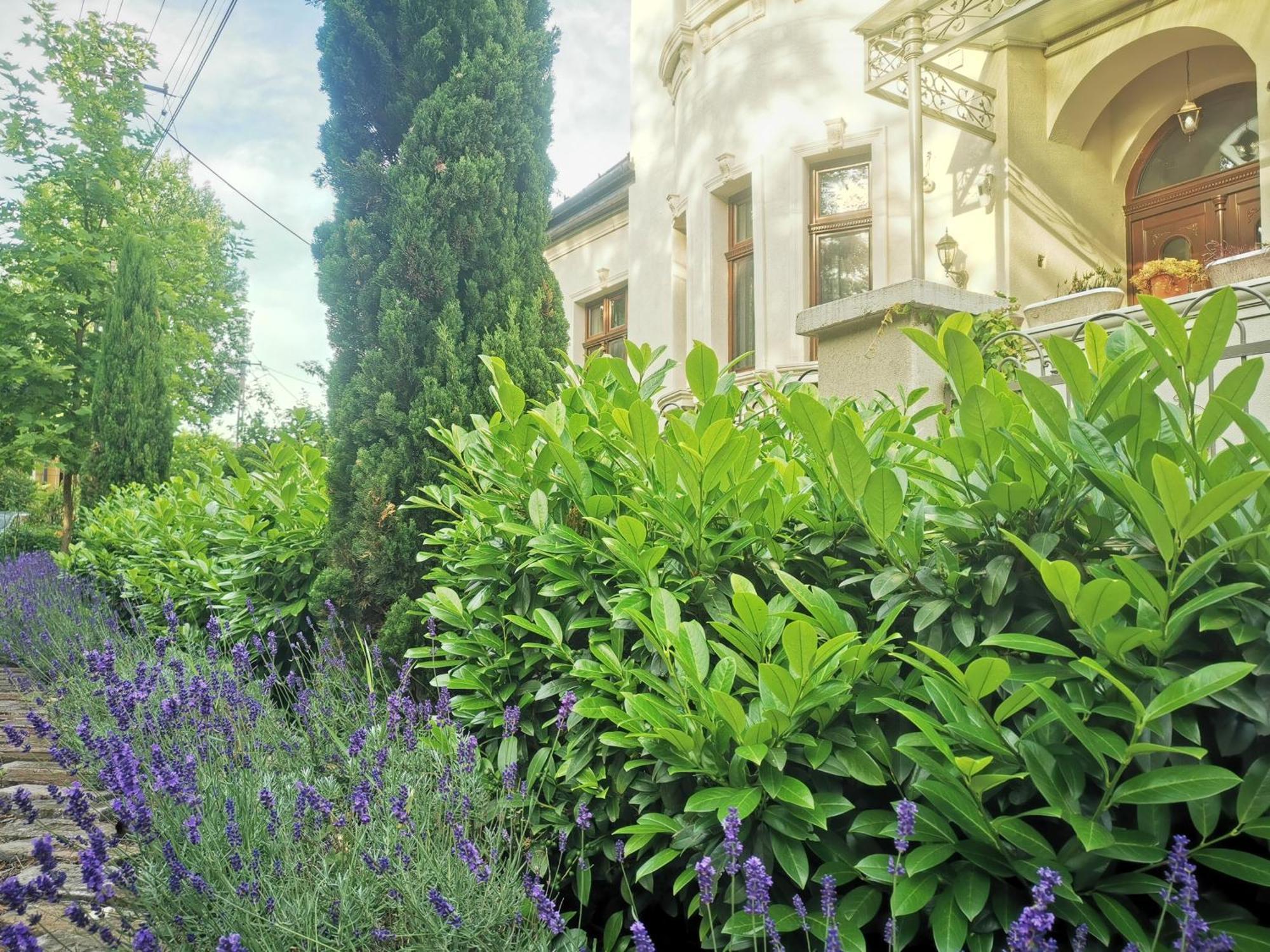 Kuria Apartman With Private Jacuzzi And Pool Budapesta Exterior foto